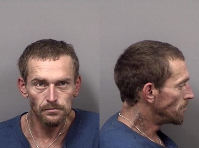 Michael Collins arrested Nov. 25 on a misdemeanor charge of retail petit theft.
